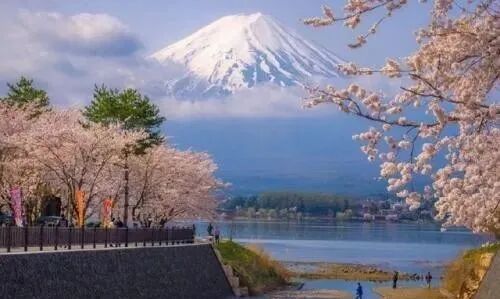 把握未来,从寻找日本留学培训之路开始! 把握未来,从寻找日本留学培训之路开始!