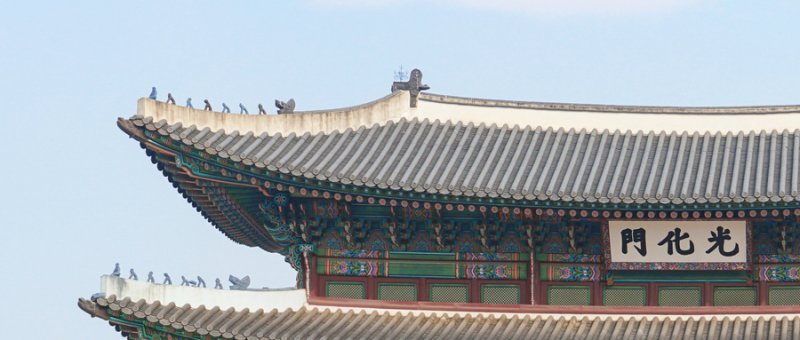 韩国留学培训:通往未来的桥梁与必备的留学培训! 韩国留学培训:通往未来的桥梁与必备的留学培训!