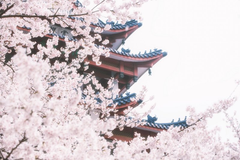 日本留学EJU项目:开启东瀛求学之路的关键一步!插图1 日本留学EJU项目:开启东瀛求学之路的关键一步!